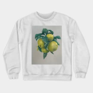 Pears Crewneck Sweatshirt